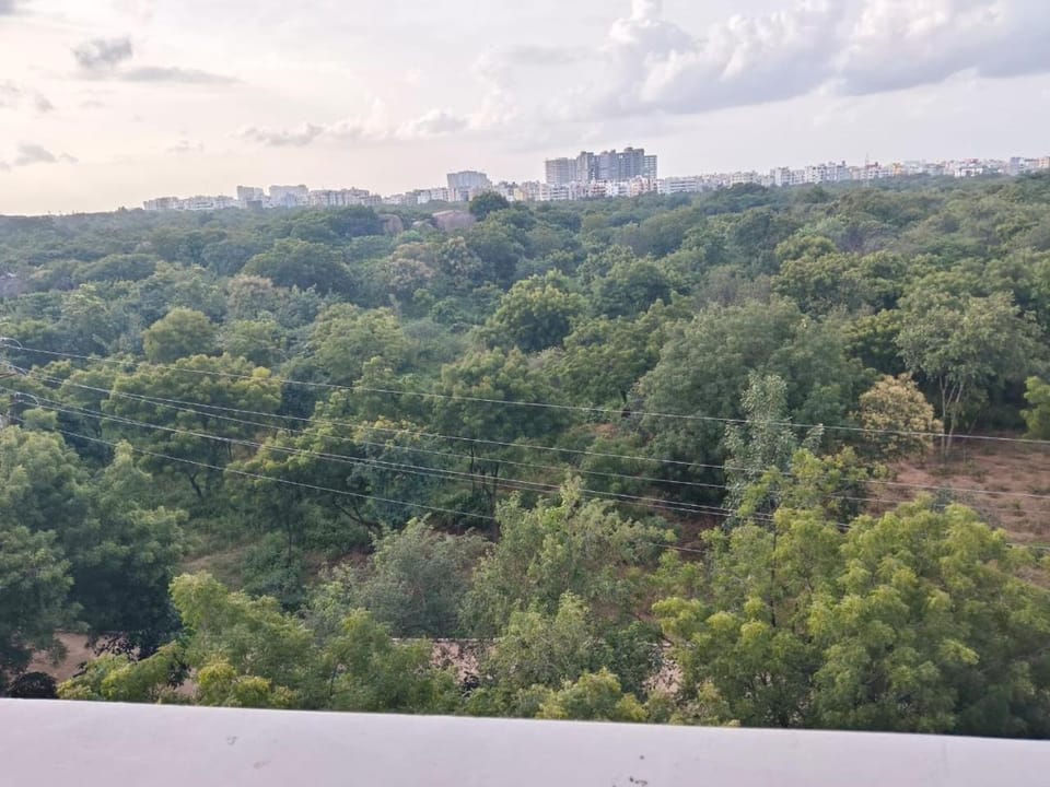 Natural landscape