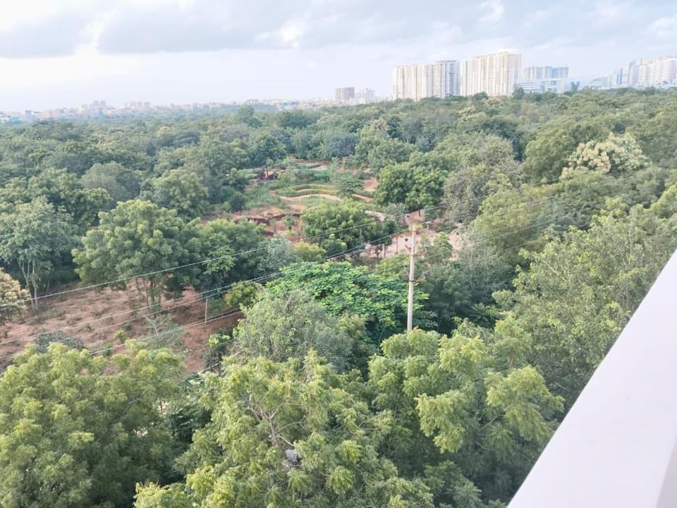 Natural landscape