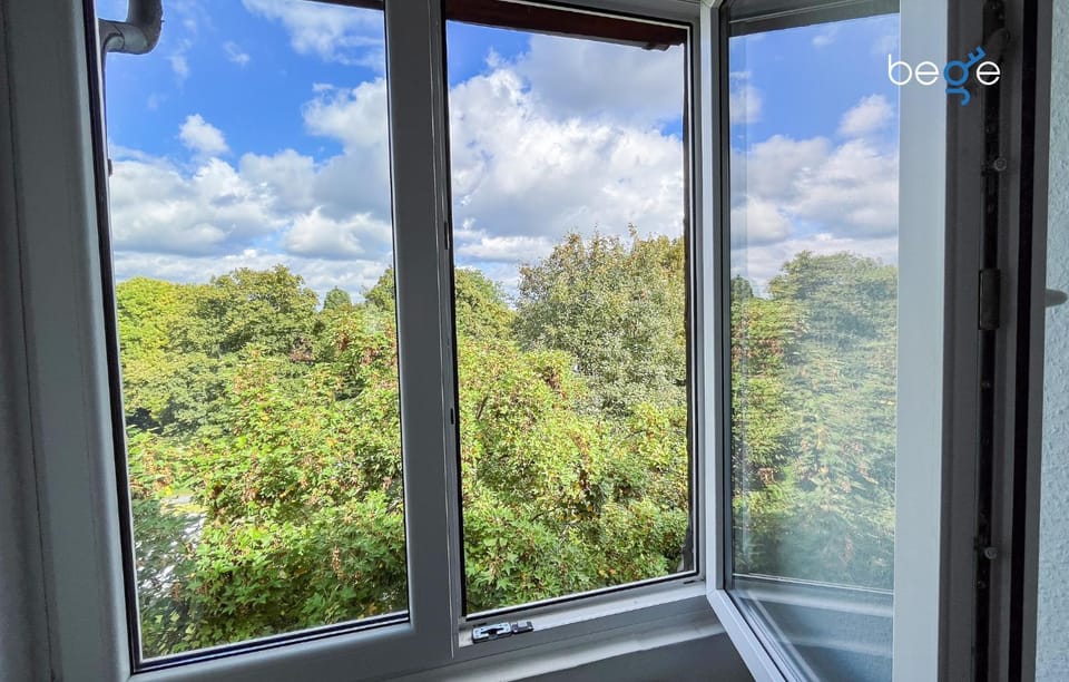 Spring, Day, Natural landscape, Garden, View (from property/room), Garden view