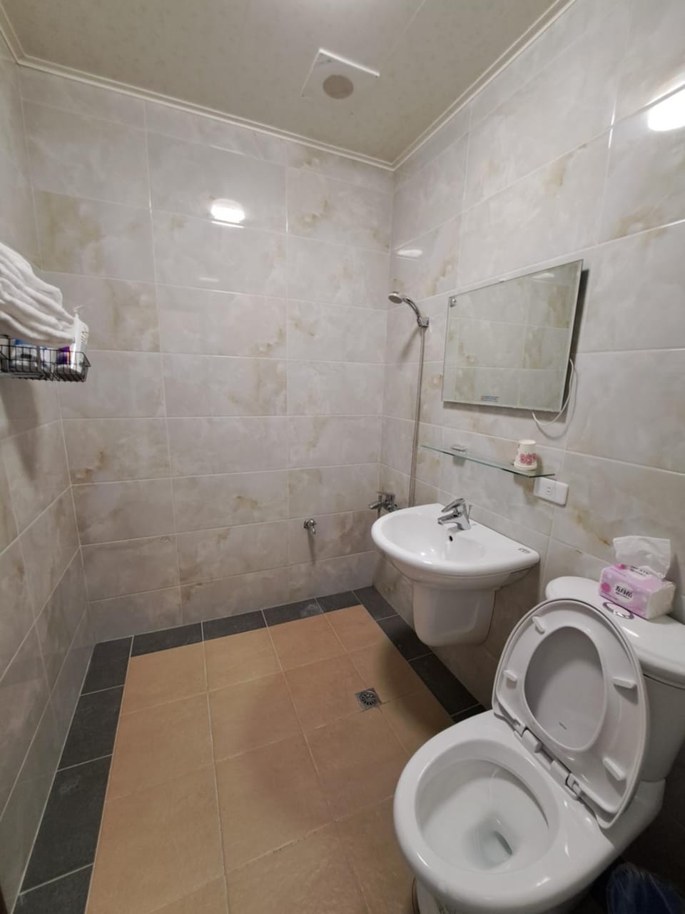 Shower, Toilet, Bathroom, towels