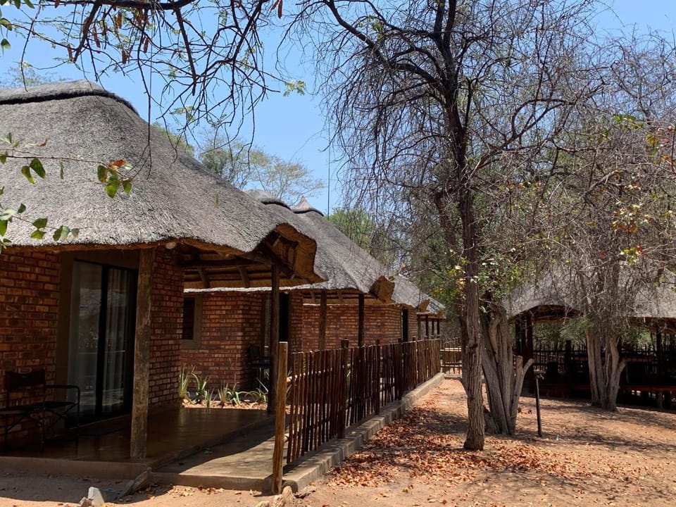 Moyo Safari Lodge Nature lodge in South Africa