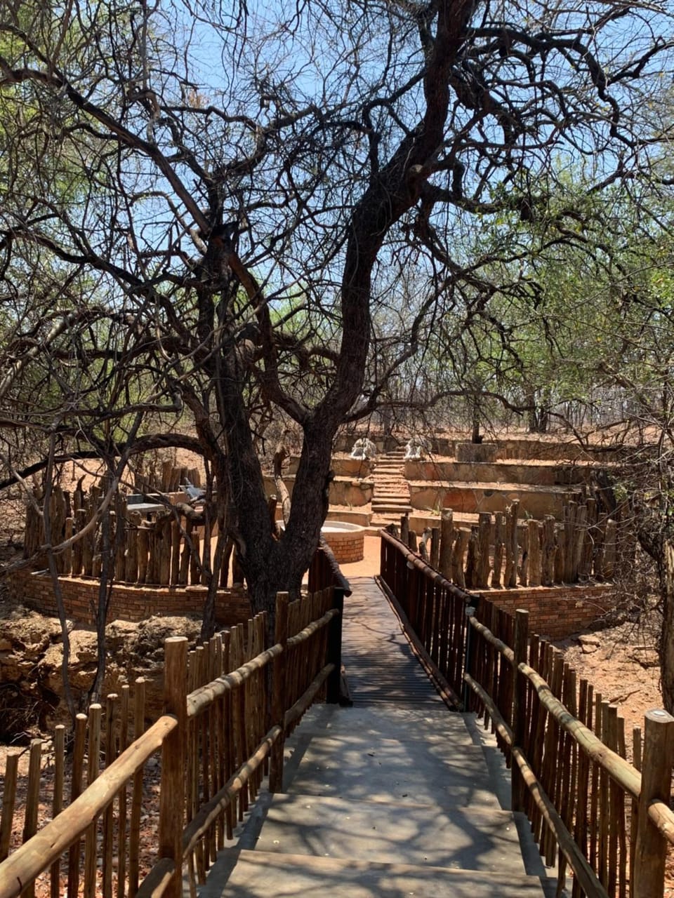 Moyo Safari Lodge Nature lodge in South Africa