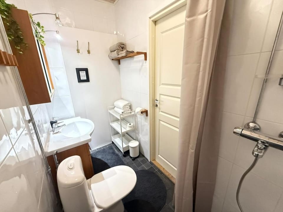 Shower, Toilet, Bathroom, towels