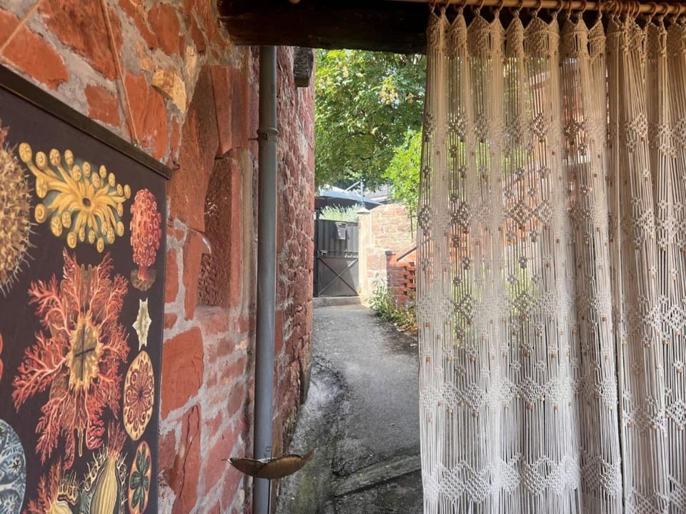 Day, Garden, Garden view
