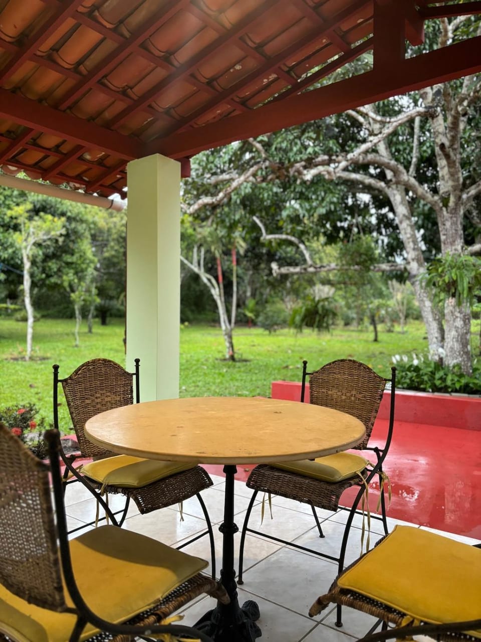 Garden view