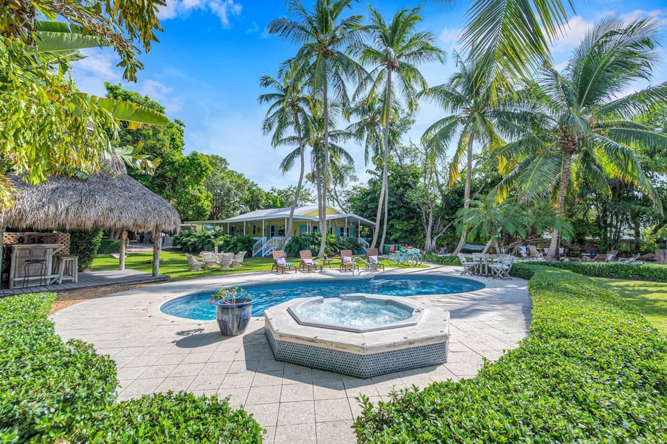 Lounge or bar, Pool view, Swimming pool, sunbed