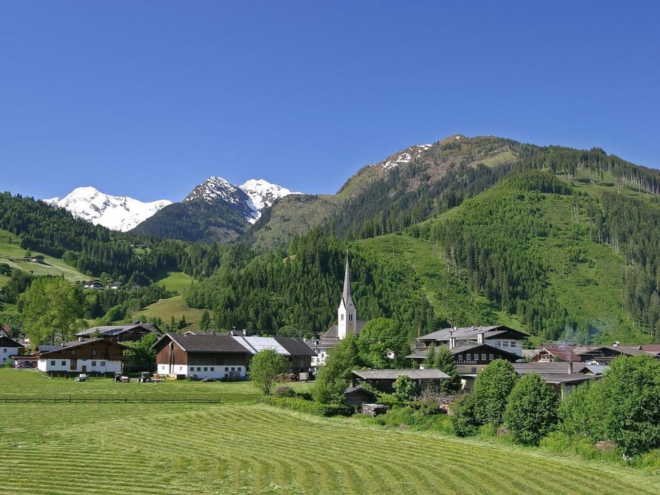 Summer, Area and facilities