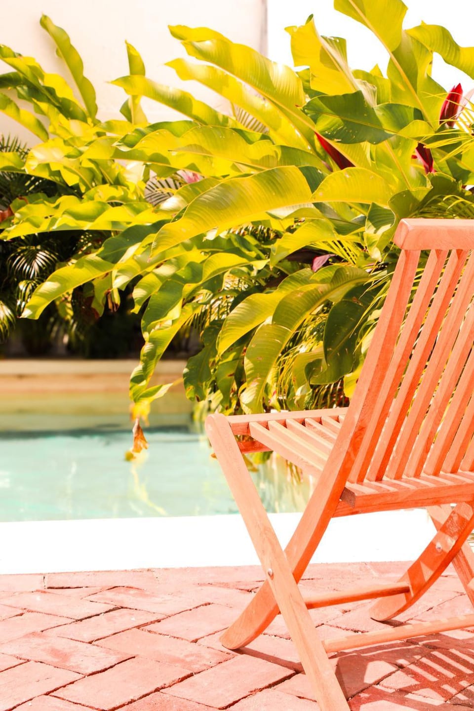 Day, Garden, Garden view, Pool view, Swimming pool