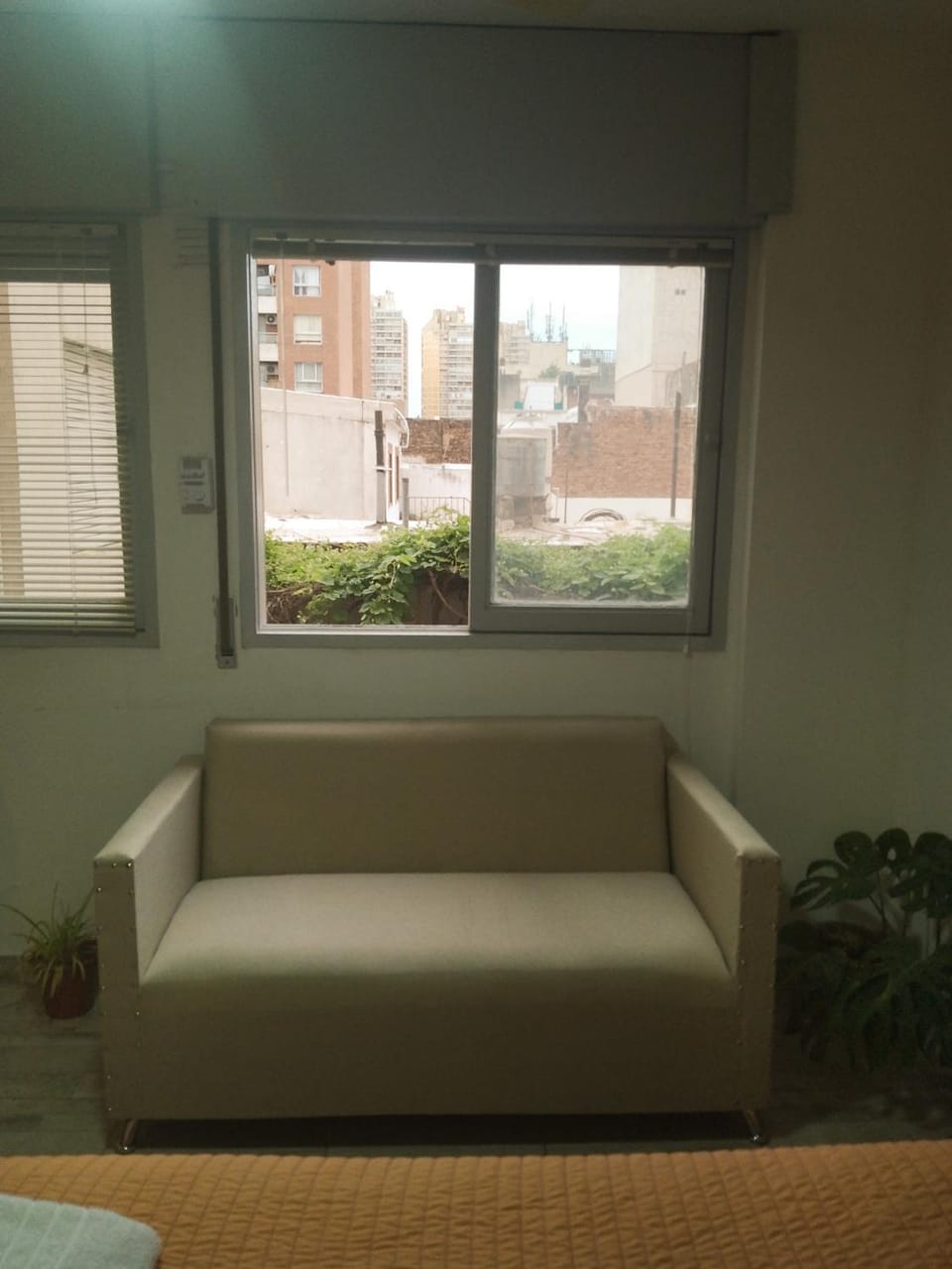Bird's eye view, Garden view