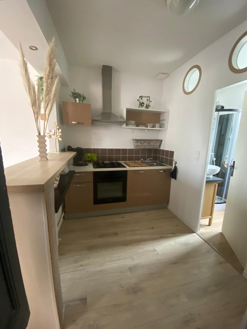Kitchen or kitchenette, oven, stove
