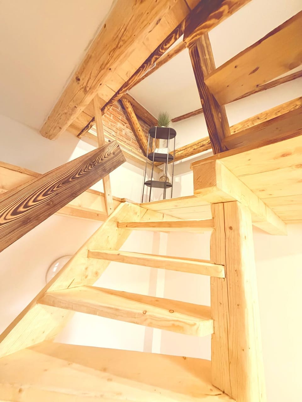 Apartmán Lotta Apartment in Slovakia