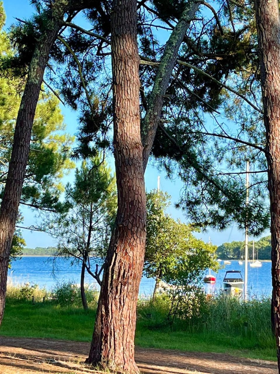 Wonderful house on the lake with idyllic lake views House in Lacanau