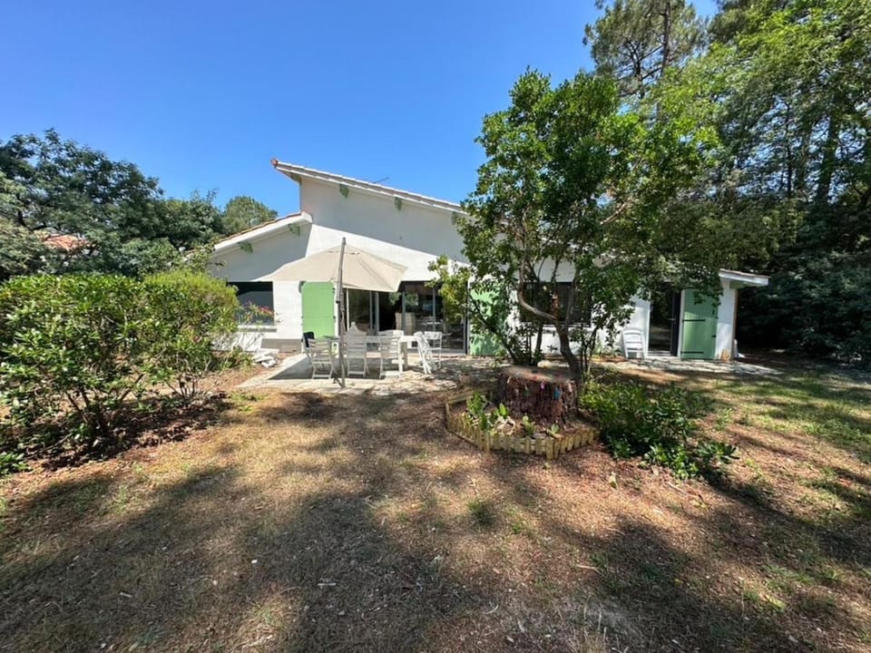 Property building, Garden view