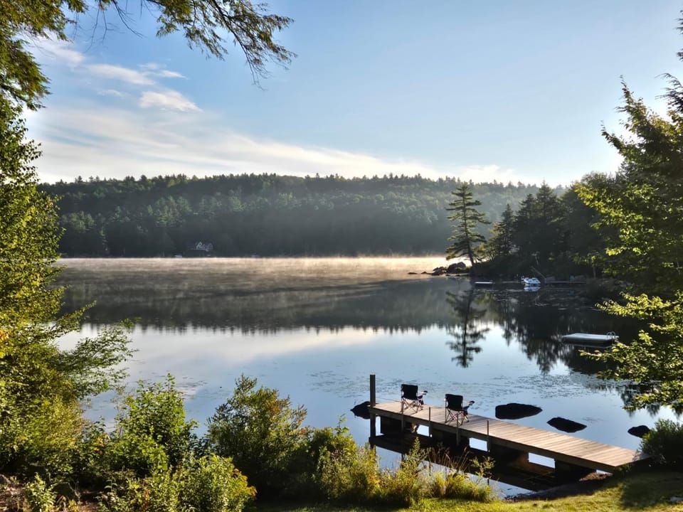 Lake view