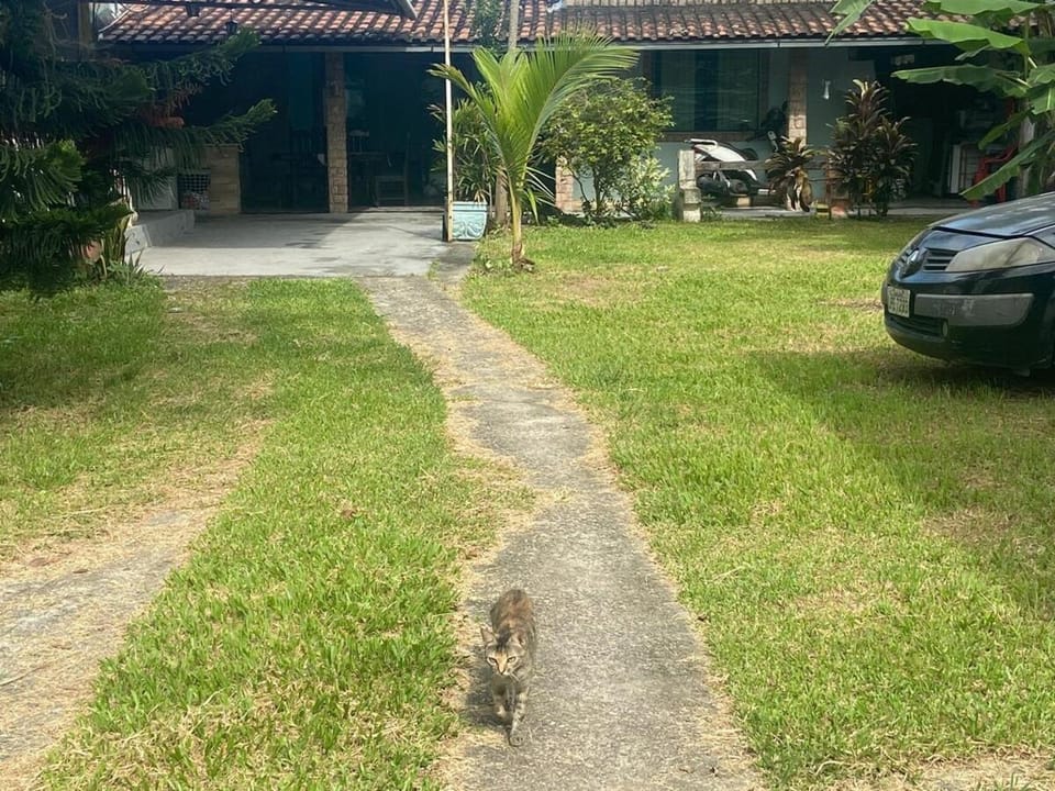 Natural landscape, Garden, Parking