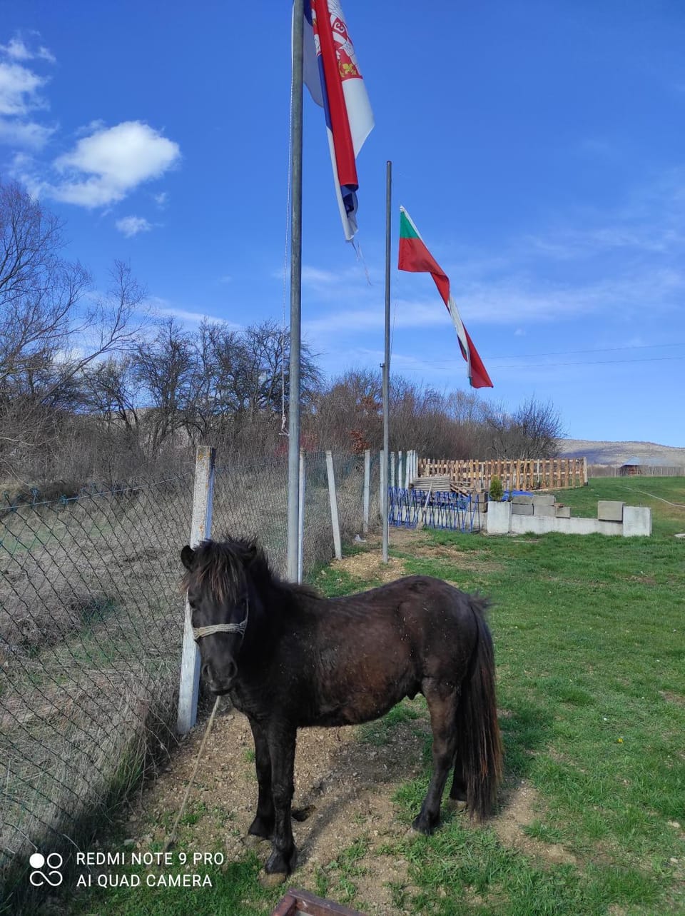 Etno Deša Apartmani Country House in Serbia