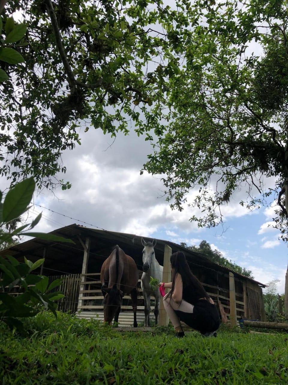 Chácara MaZen - Casa com piscina em Morretes House in State of Paraná