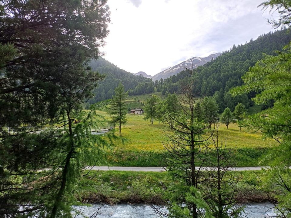 Chalet Renzo Livigno Il lusso del silenzio Chalet in Lombardy