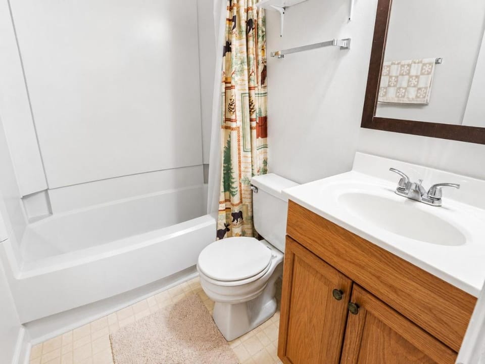 ML178 2BR 2BA Mountain View WiFi Ski In Ski Out Apartment in Snowshoe