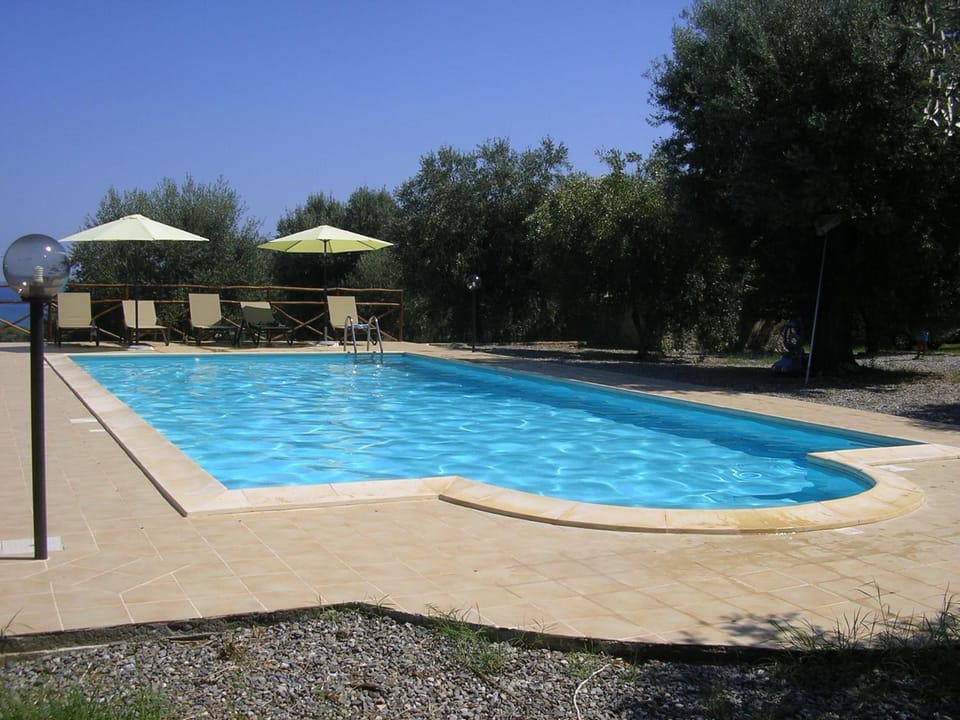 Pool view, Pool view