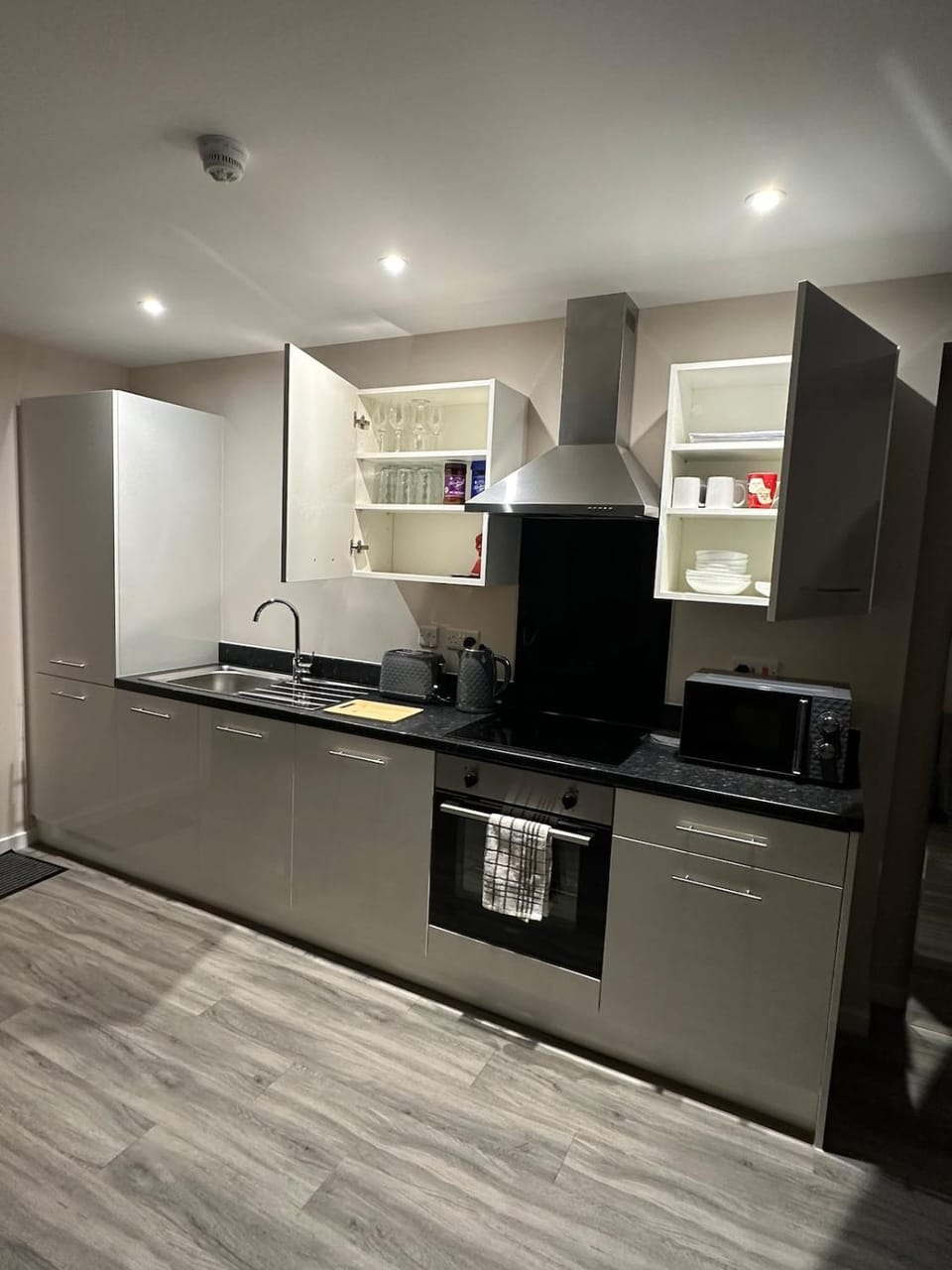 Kitchen or kitchenette, dishwasher, oven, stove
