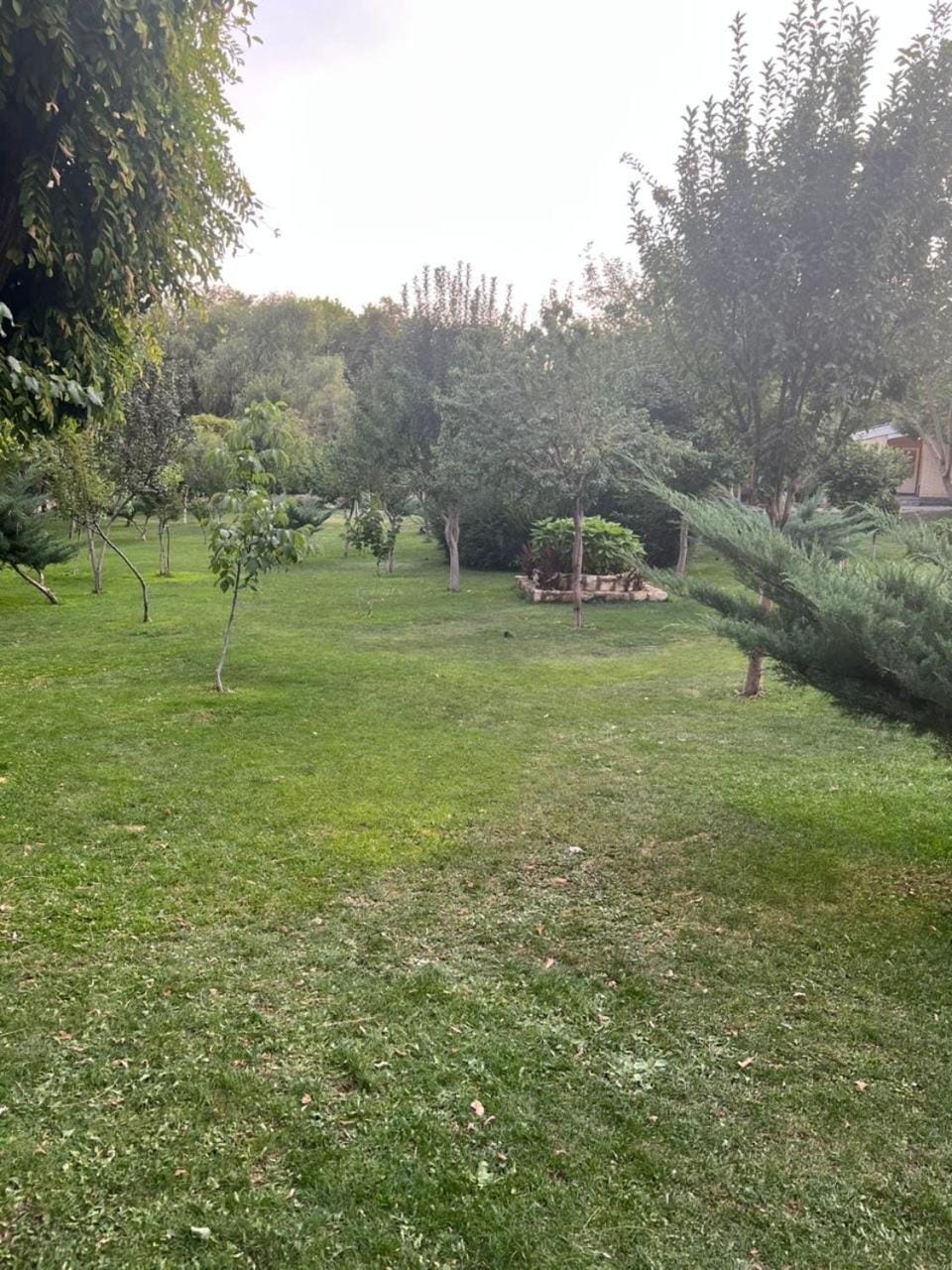 Villa De Anna Villa in Saint-Remy-de-Provence