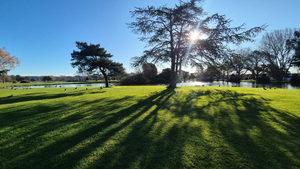 Spring, Day, Natural landscape