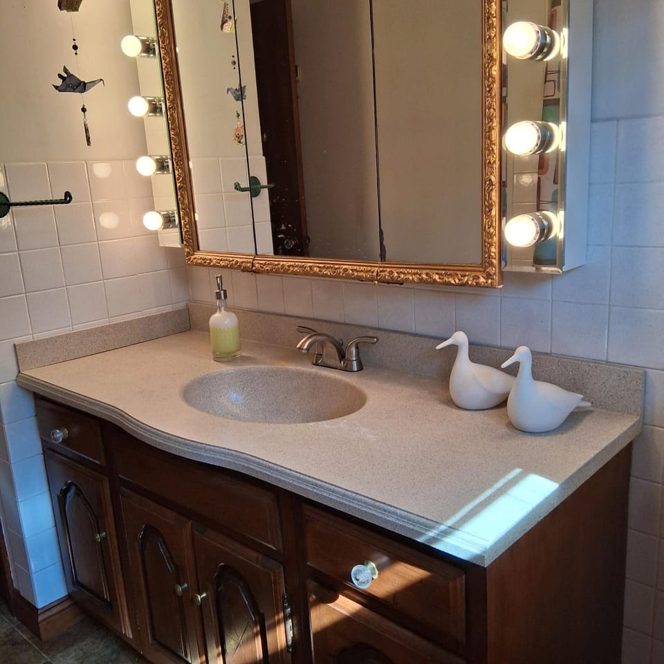 Fully Updated 3-Bedroom Ranch with Stylish Interiors, Full Furnishings, and Backyard Hangout Spaces House in Iowa City