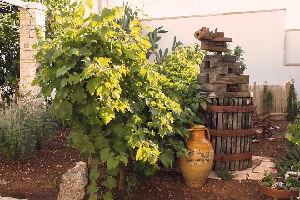 Garden, Garden view