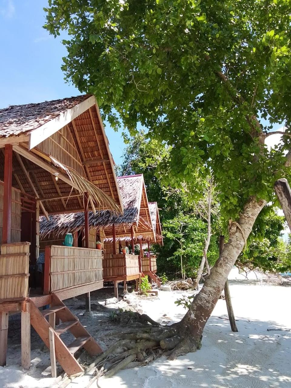 Property building, Day, Natural landscape