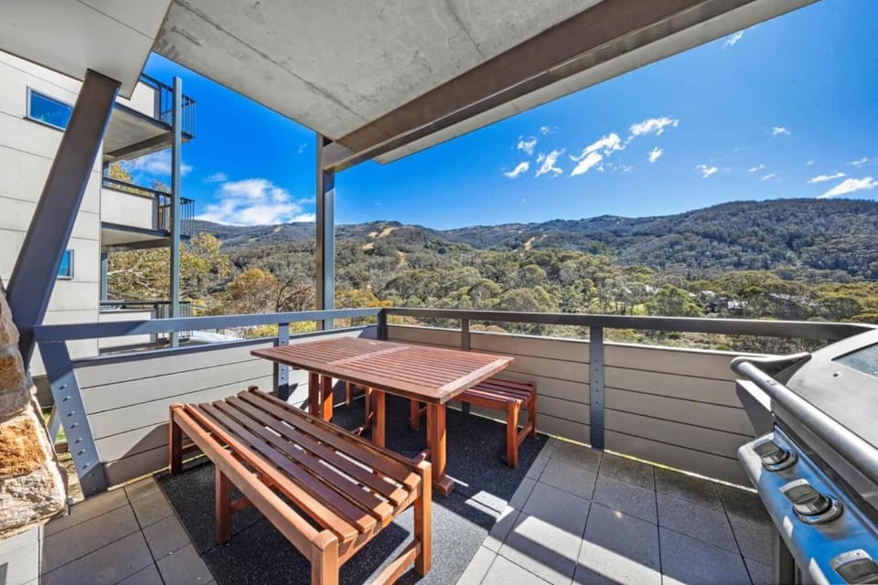 Elevation 8 - Thredbo Apartment in Thredbo