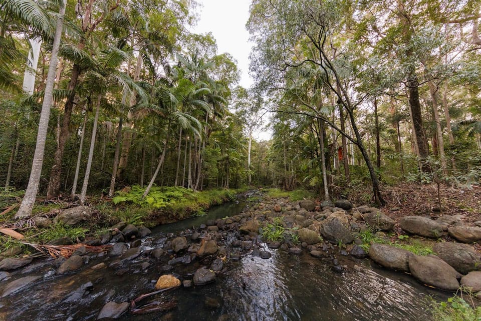 Cedar Creek Falls by Tiny Away House in Tamborine Mountain