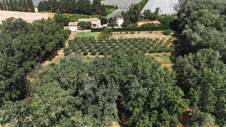 Spring, Day, Natural landscape, Bird's eye view, Garden, Garden view