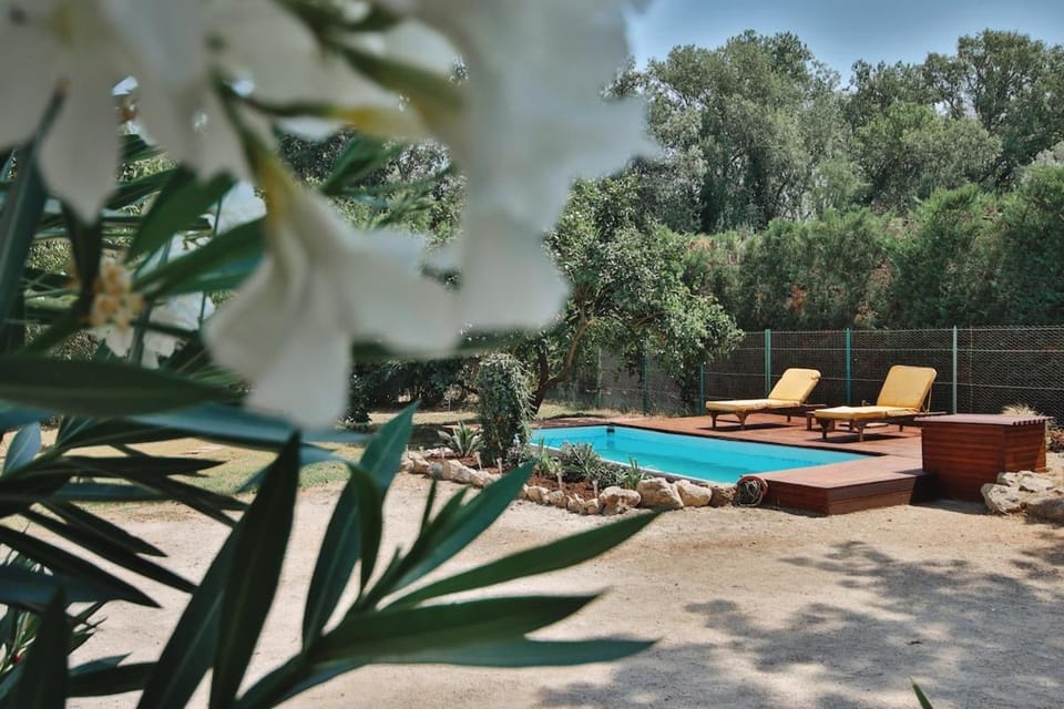 Patio, Spring, Day, Natural landscape, Garden, Garden view, Pool view, Swimming pool, sunbed