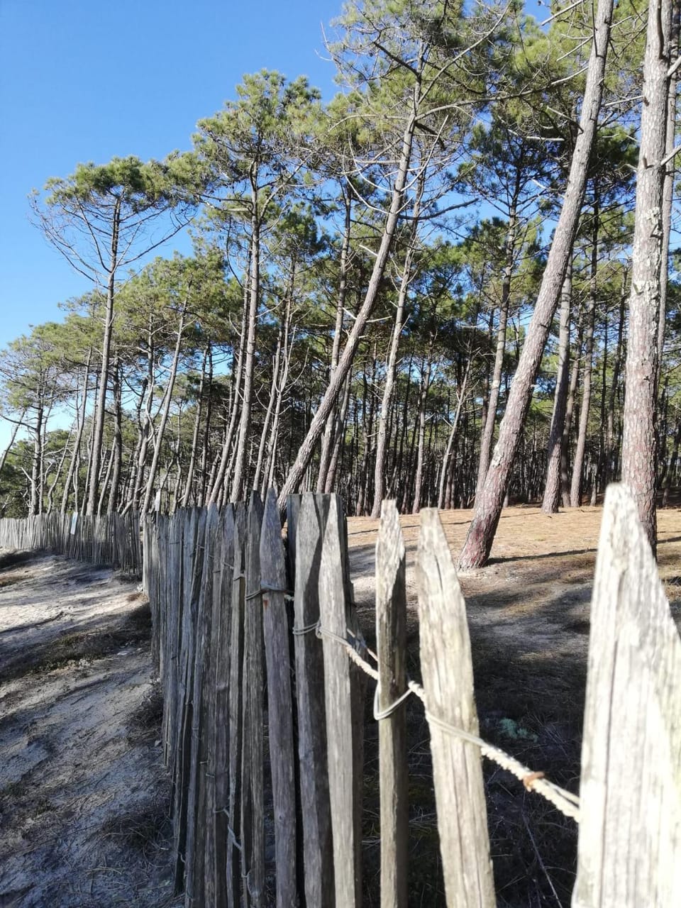 Natural landscape