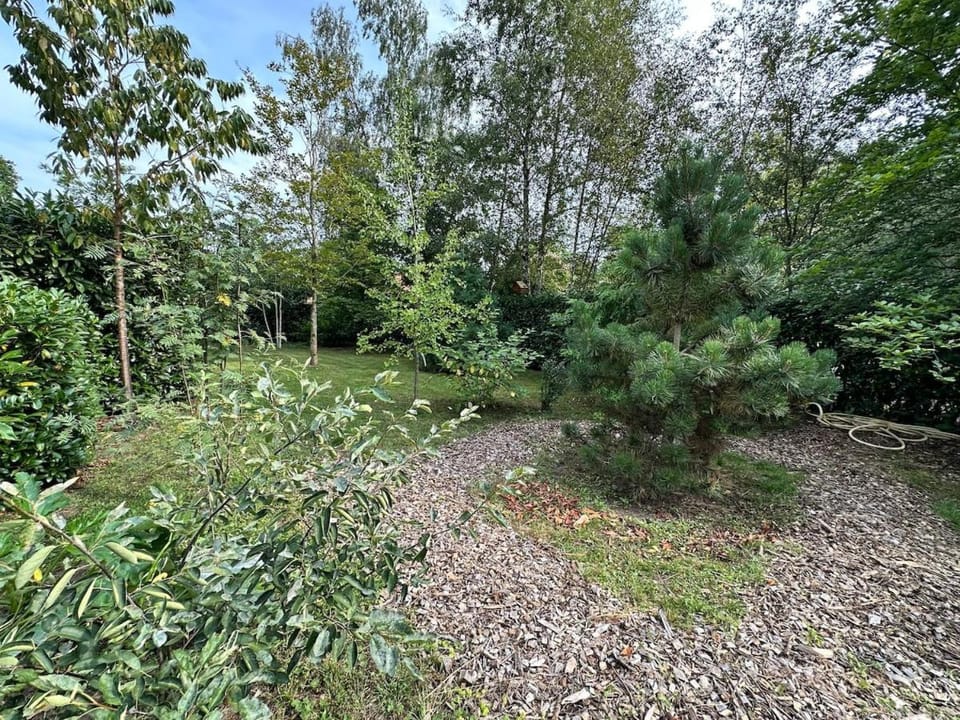 Garden, Garden view