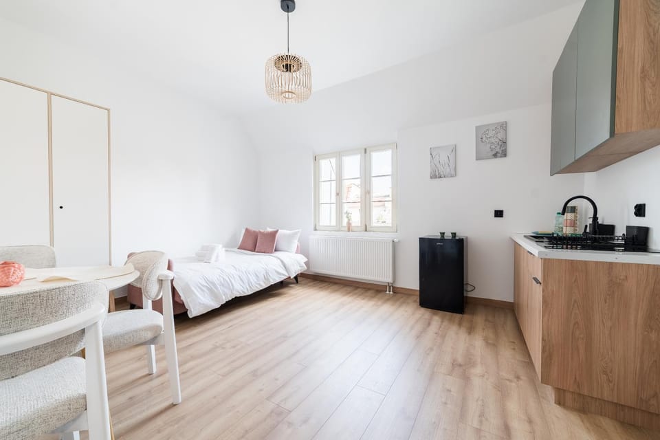 Bed, Kitchen or kitchenette, Photo of the whole room, Dining area, Bedroom, oven, stove