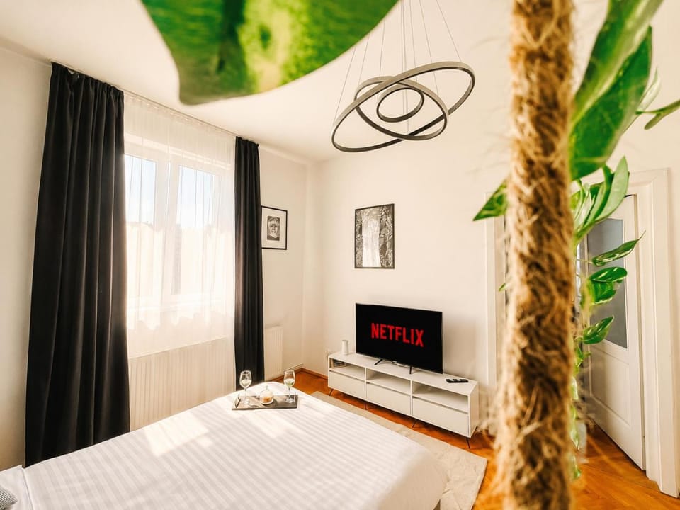 Relax & Work in Cluj Cozy Flat w Netflix & Wi-Fi Apartment in Cluj-Napoca