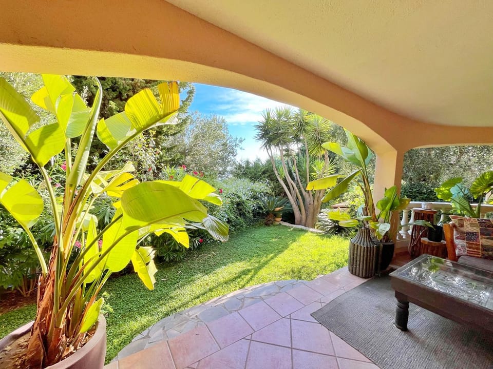 Patio, Garden, Garden view