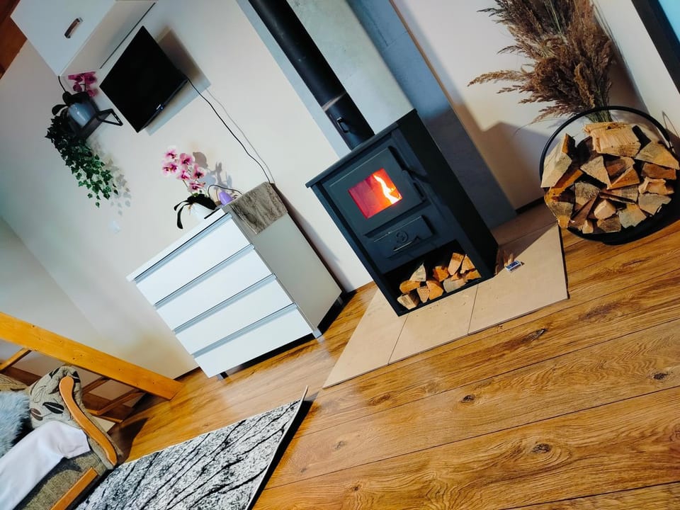 Chata z Pary Apartment in Lithuania