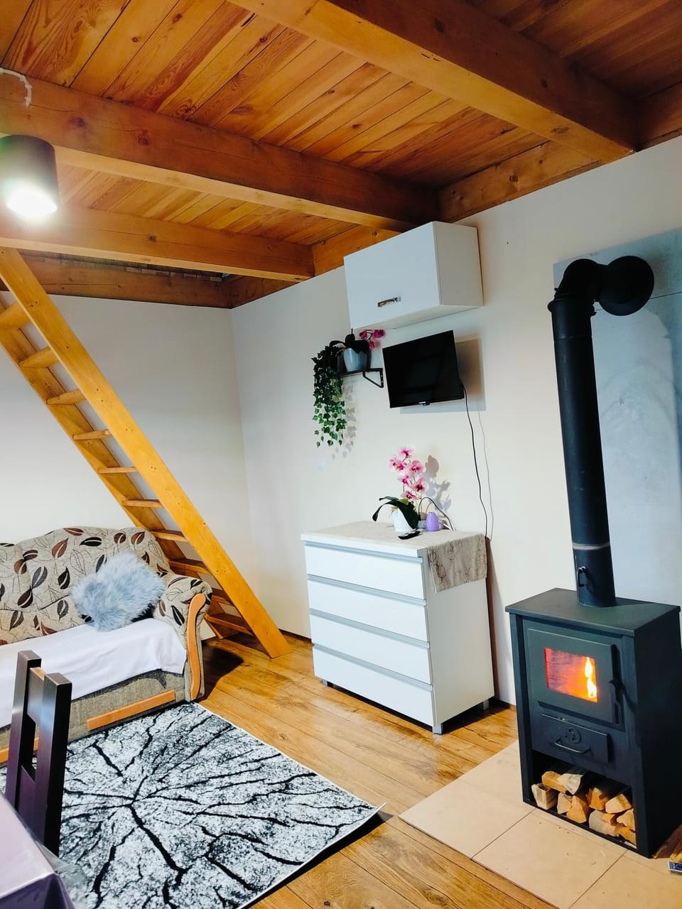Chata z Pary Apartment in Lithuania