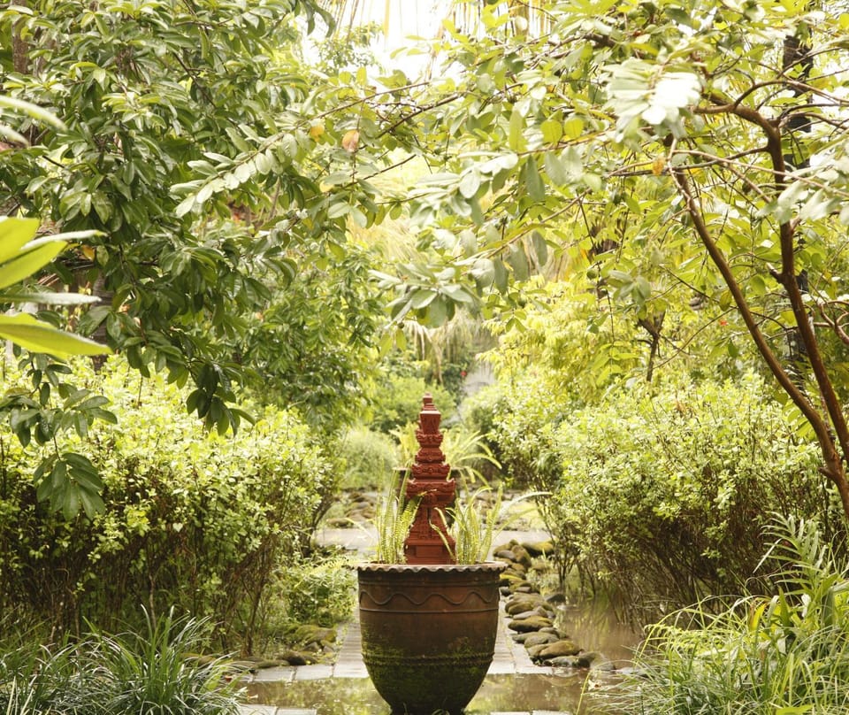 Garden, Garden view, Garden view