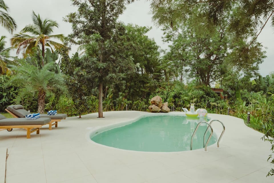 Pool view, Swimming pool, sunbed