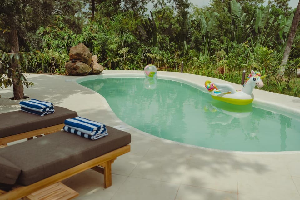 Pool view, Swimming pool, sunbed