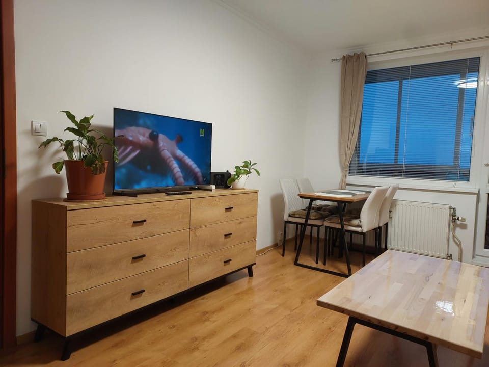 Communal lounge/ TV room, TV and multimedia, Living room, Dining area