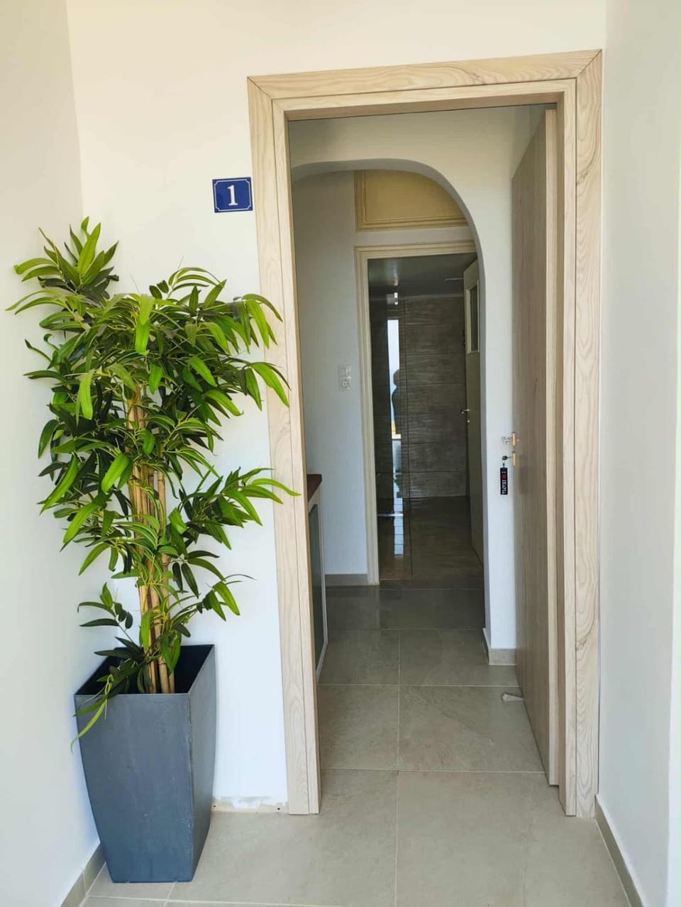 Remvi Apartment 1 Apartment in Icaria