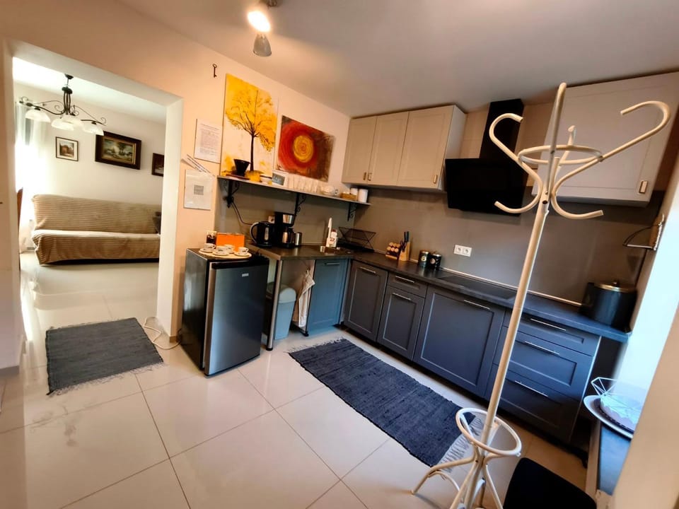 Kitchen or kitchenette, dishwasher, stove