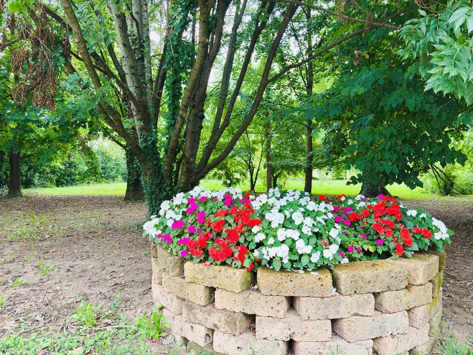 Garden, Garden view