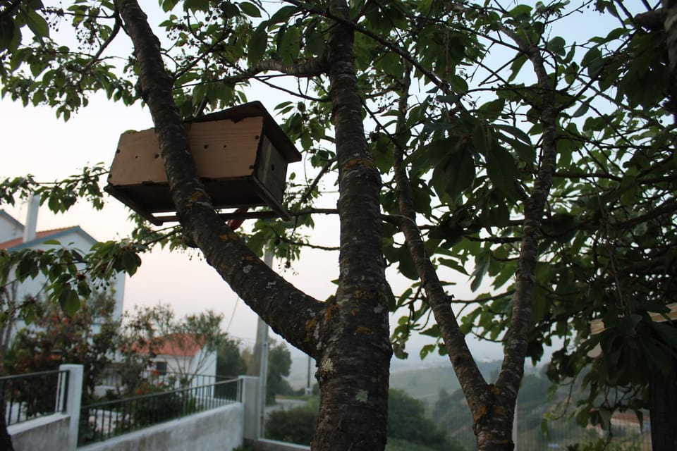 Landmark view, Mountain view, Street view