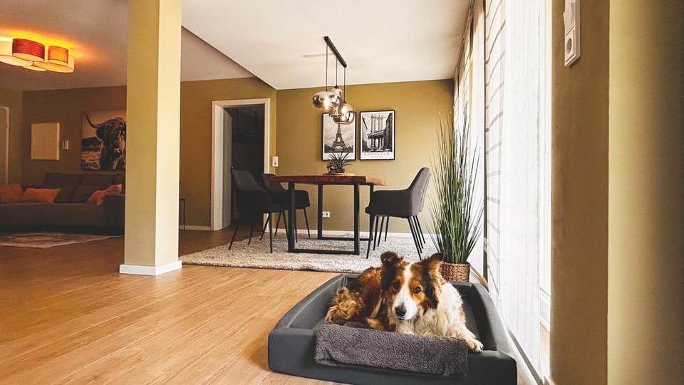 Living room, Seating area, Pets